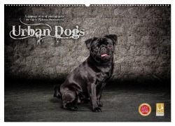 Urban Dogs - Hundekalender der anderen Art (Wandkalender 2025 DIN A2 quer), CALVENDO Monatskalender - Oliver Pinkoss Photostorys