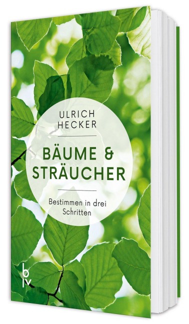 Bäume und Sträucher - Ulrich Hecker