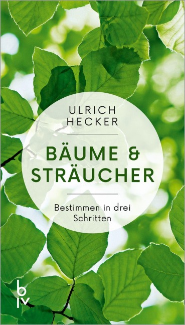 Bäume und Sträucher - Ulrich Hecker