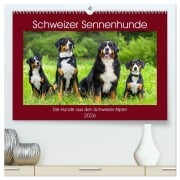 Schweizer Sennenhunde - die Hunde aus den Schweizer Alpen (hochwertiger Premium Wandkalender 2026 DIN A2 quer), Kunstdruck in Hochglanz - Sigrid Starick
