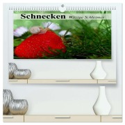 Schnecken. Witzige Schleimer (hochwertiger Premium Wandkalender 2026 DIN A2 quer), Kunstdruck in Hochglanz - Elisabeth Stanzer