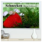 Cover-Bild zum Titel 'Schnecken. Witzige Schleimer (hochwertiger Premium Wandkalender 2026 DIN A2 quer), Kunstdruck in Hochglanz' von 'Elisabeth Stanzer'