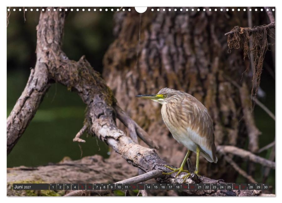InsideView 11