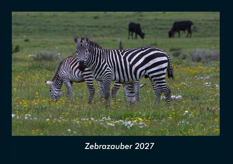 Zebrazauber 2027 Fotokalender DIN A4 - Tobias Schmitt, Kevin Heber