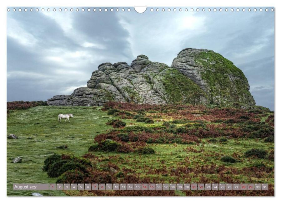 InsideView 13