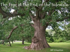 Cover-Bild zum Titel 'The Tree at the End of the Sidewalk' von 'Bill Schweitzer'
