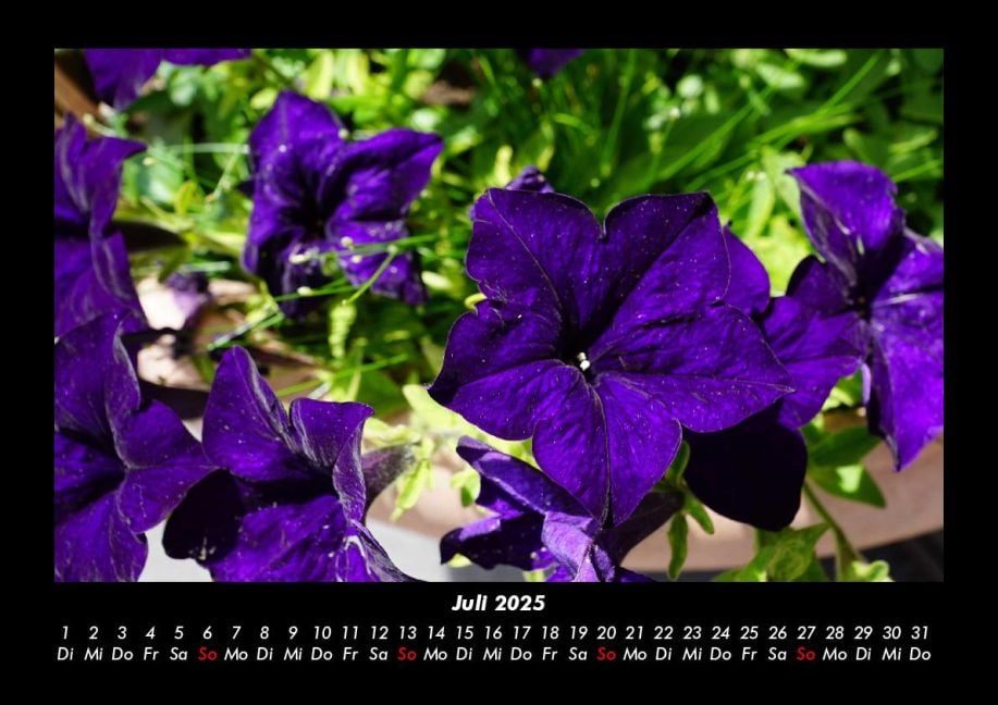 InsideView 11