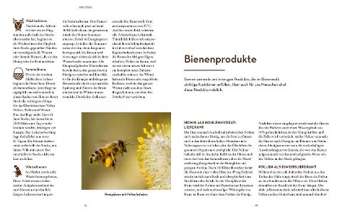 InsideView 2