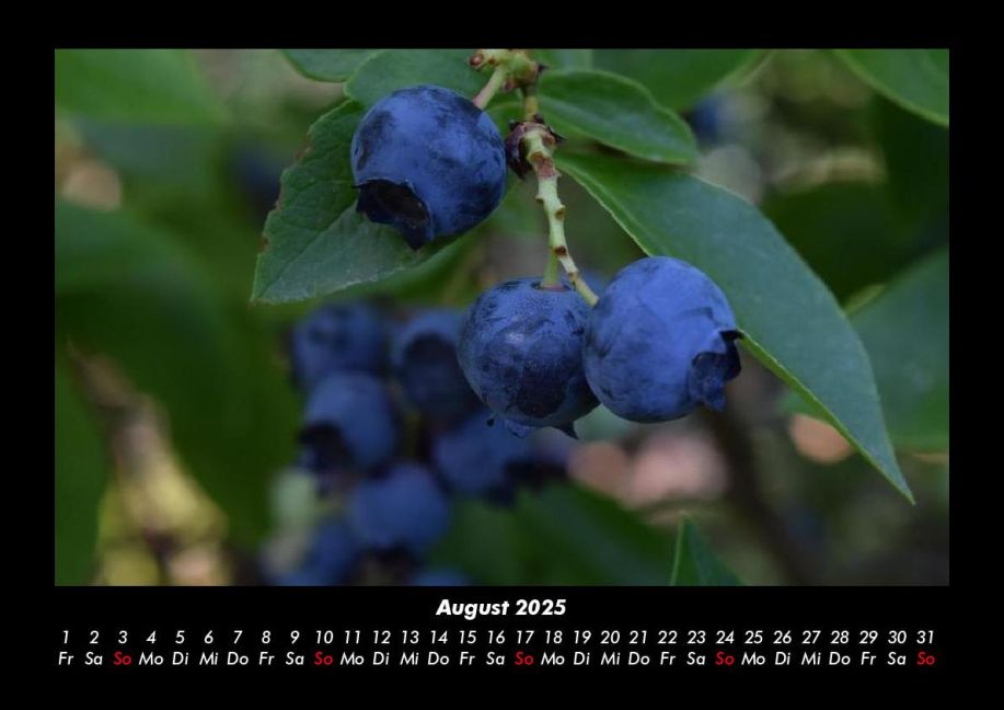 InsideView 12