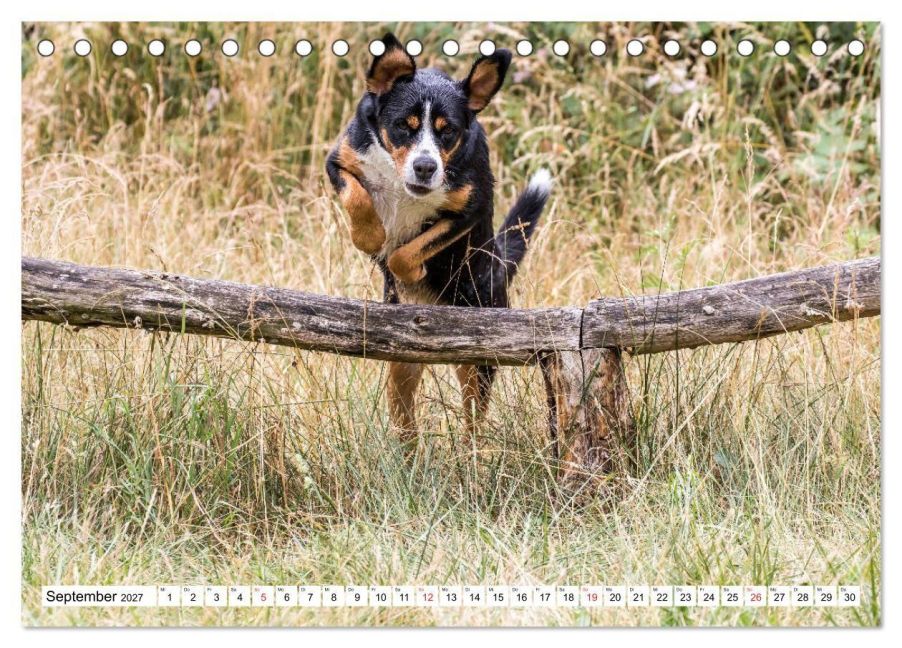InsideView 14