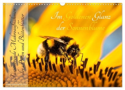 Im Goldenen Glanz der Sonnenblume (Wandkalender 2024 DIN A3 quer), CALVENDO Monatskalender - Danica Krunic