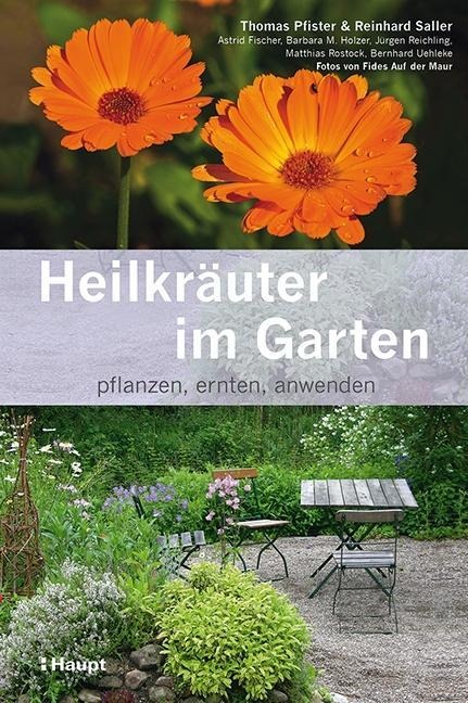 Heilkräuter im Garten - Thomas Pfister, Bernhard Uehleke, Reinhard Saller, Astrid Fischer, Barbara M. Holzer