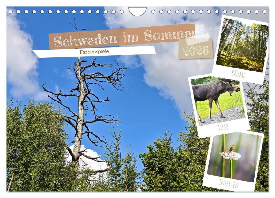 Schweden im Sommer (Wandkalender 2026 DIN A4 quer), CALVENDO Monatskalender - Viktor Wedel