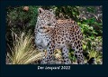 Der Leopard 2022 Fotokalender DIN A5 - Tobias Becker