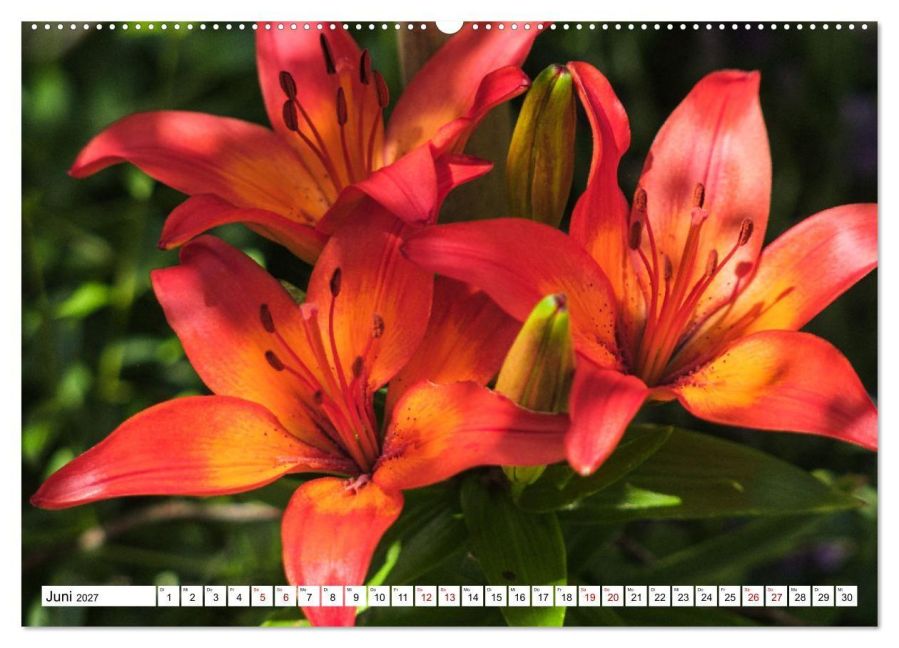 InsideView 11