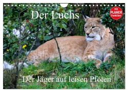 Cover-Bild zum Titel 'Der Luchs - Der Jäger auf leisen Pfoten (Wandkalender 2027 DIN A4 quer), CALVENDO Monatskalender' von 'Arno Klatt'
