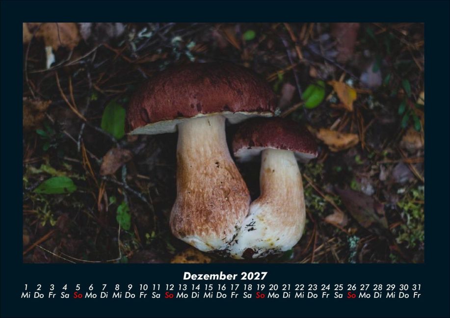 InsideView 4