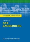 Cover-Bild zum Titel 'Der Zauberberg. Königs Erläuterungen.' von 'Thomas Mann'