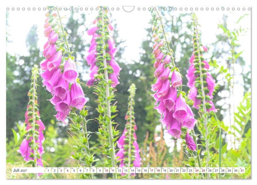 InsideView 12