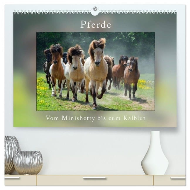 Pferde Vom Minishetty bis zum Kaltblut (hochwertiger Premium Wandkalender 2026 DIN A2 quer), Kunstdruck in Hochglanz - Angelika Beuck