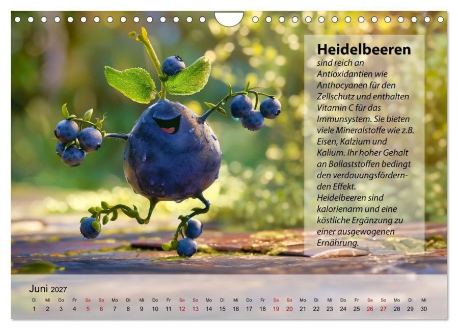 InsideView 11