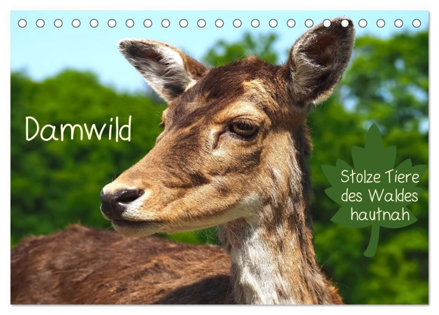 Damwild - stolze Tiere des Waldes hautnah (Tischkalender 2026 DIN A5 quer), CALVENDO Monatskalender - Marion Meyer - Stimmungsbilder1