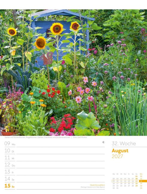 InsideView 36