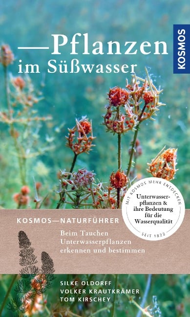 Pflanzen im Süßwasser - Silke Oldorff, Volker Krautkrämer, Tom Kirschey