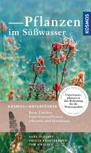 Pflanzen im Süßwasser - Silke Oldorff, Tom Kirschey, Volker Krautkrämer