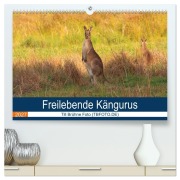Cover-Bild zum Titel 'Freilebende Kängurus (hochwertiger Premium Wandkalender 2027 DIN A2 quer), Kunstdruck in Hochglanz' von 'Till Brühne Foto (TBFOT. DE)'