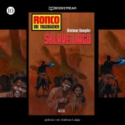 Cover-Bild zum Titel 'Ronco - Die Tagebücher, Folge 10: Sklavenjagd' von 'Dietmar Kuegler'