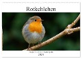 Rotkehlchen - Fotografiert von Ostfriesenfotografie (Wandkalender 2024 DIN A2 quer), CALVENDO Monatskalender - Christina Betten - Ostfriesenfotografie