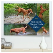 Cover-Bild zum Titel 'Faszination Magyar Vizsla am See (hochwertiger Premium Wandkalender 2027 DIN A2 quer), Kunstdruck in Hochglanz' von 'Babett Paul - Babetts Bildergalerie'