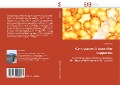 Cover-Bild zum Titel 'Catalyseurs à base d''or supportés' von 'Yassine Azizi'
