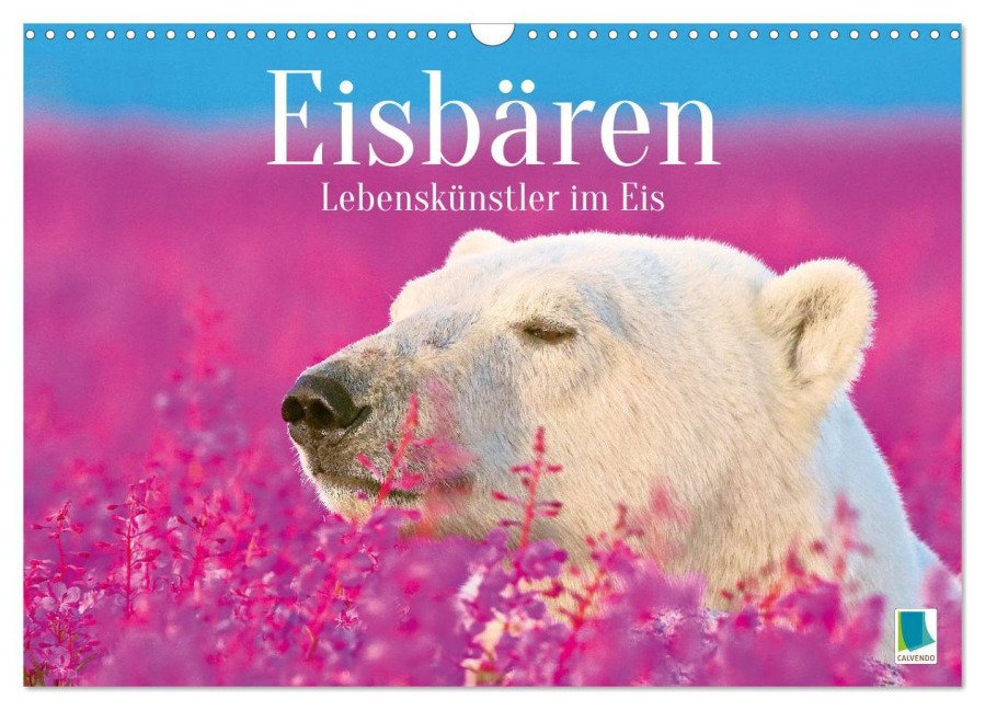 Eisbären: Lebenskünstler im Eis (Wandkalender 2026 DIN A3 quer), CALVENDO Monatskalender - Calvendo Calvendo