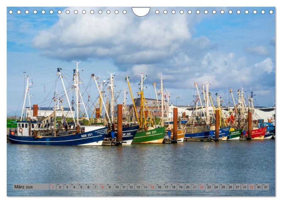 InsideView 8