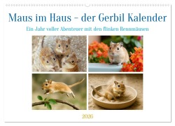 Cover-Bild zum Titel 'Maus im Haus - der Gerbil Kalender (Wandkalender 2026 DIN A2 quer), CALVENDO Monatskalender' von 'Kerstin Waurick'