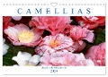 Camellias (Wall Calendar 2024 DIN A4 landscape), CALVENDO 12 Month Wall Calendar - Dieter Meyer