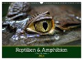 Reptilien & Amphibien Portraits (Wandkalender 2024 DIN A3 quer), CALVENDO Monatskalender - Klaus Vartzbed