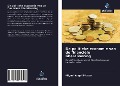 Cover-Bild zum Titel 'De politieke economie van de financiële liberalisering' von 'Miguel Angel Picazo'