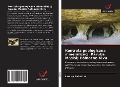 Cover-Bild zum Titel 'Kontrola geologiczna mineralizacji Karuba Masisi; Pó¿nocne Kivu' von 'Landry Bahati M.'