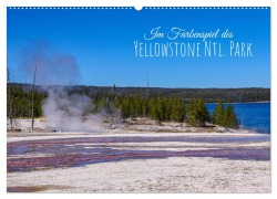 Im Farbenspiel des Yellowstone Natl. Park (Wandkalender 2026 DIN A2 quer), CALVENDO Monatskalender - Silvia Drafz
