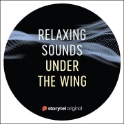 Cover-Bild zum Titel 'Under the Wing' von 'Lukas Åkerberg Lundh'