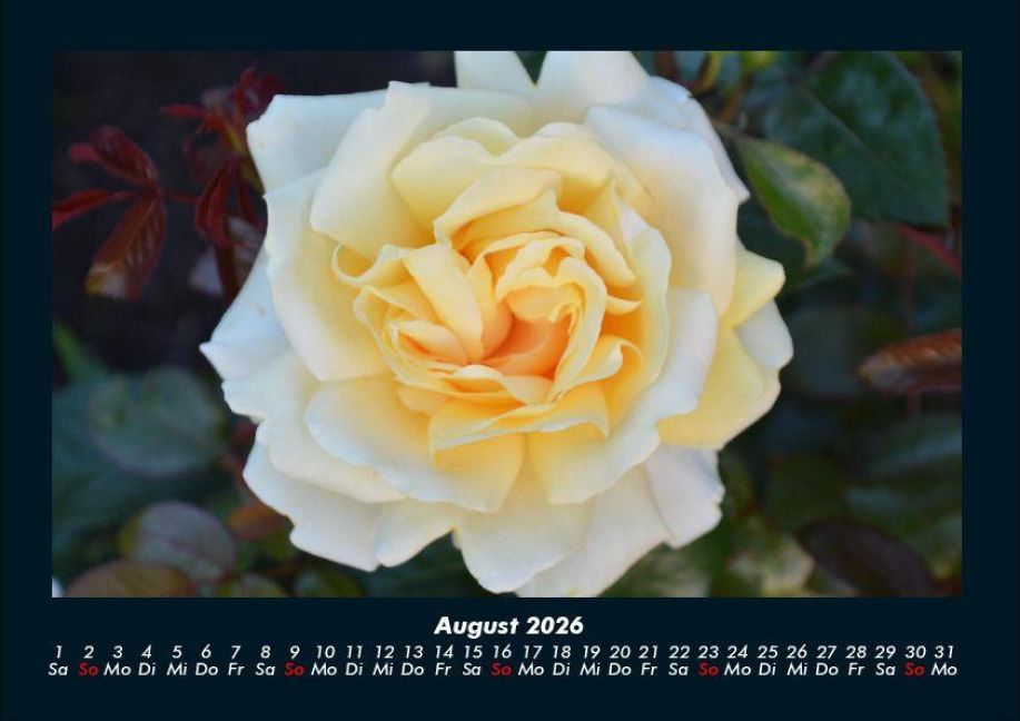 InsideView 12