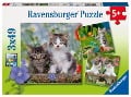 Cover-Bild zum Titel 'Süße Samtpfötchen - Puzzle 3 x 49 Teile' von ''
