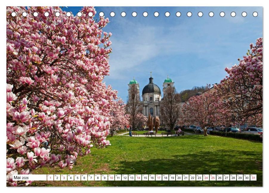 InsideView 10