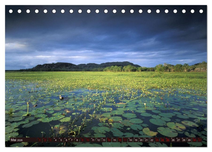 InsideView 10