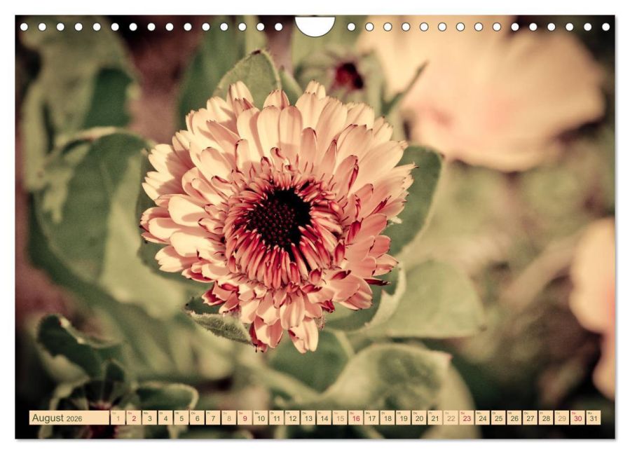 InsideView 13