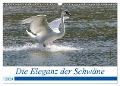 Die Eleganz der Schwäne (Wandkalender 2024 DIN A3 quer), CALVENDO Monatskalender - Andreas Müller Fotografie