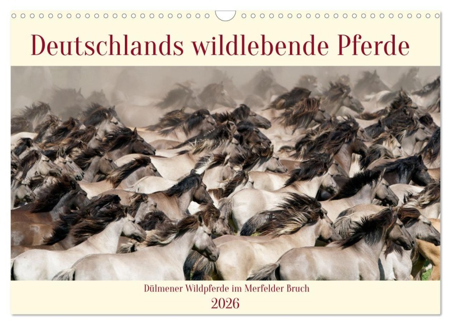 Deutschlands wildlebende Pferde (Wandkalender 2026 DIN A3 quer), CALVENDO Monatskalender - Marcel René Grossmann